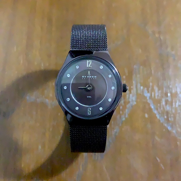 Skagen Stainless Steel Mineral Crystal Watch